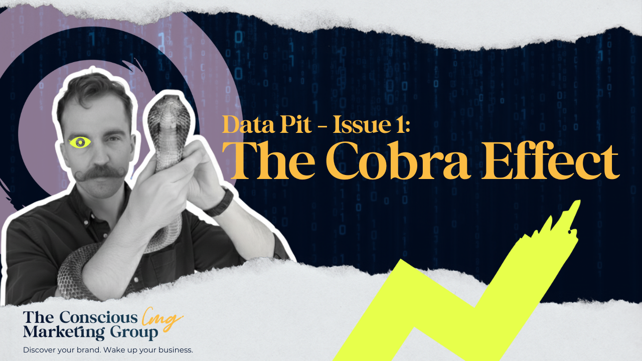 Data Pit Issue 1: The Cobra Effect